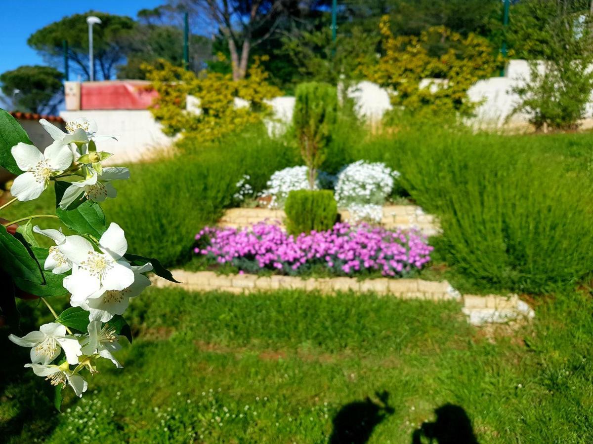 Apartments Lori Poreč Kültér fotó